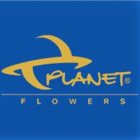 Planet Flowers Event and Wedding Florists 1065522 Image 0